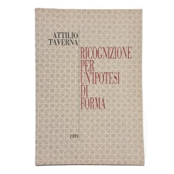 Ricognizione per un'ipotesi di forma