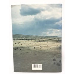 Texas. A salute from above 2