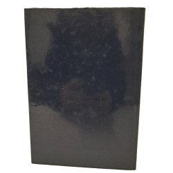 Dizionario primeriotto 2