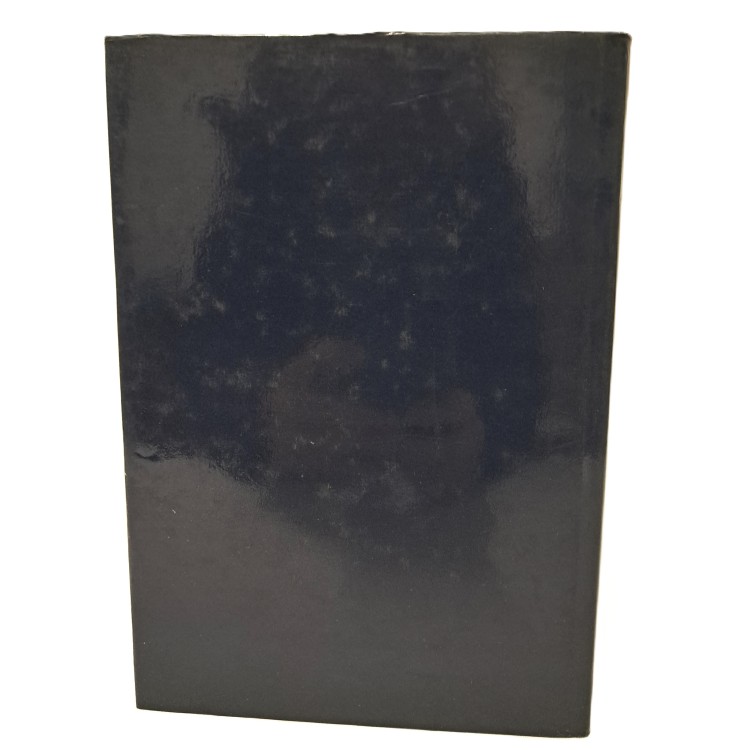 Dizionario primeriotto