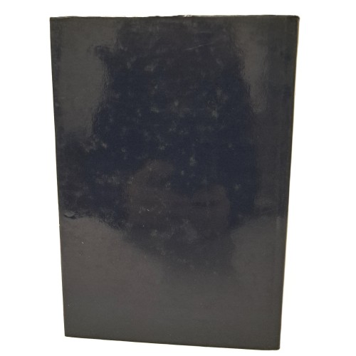 Dizionario primeriotto