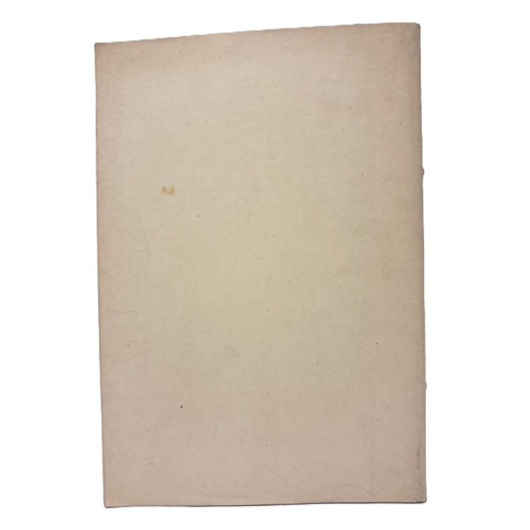 Le avventure di Gino Arrighi