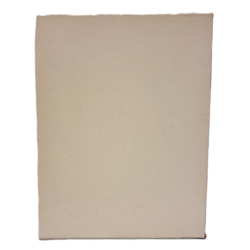 Guida dei castelli dell'Alto Adige