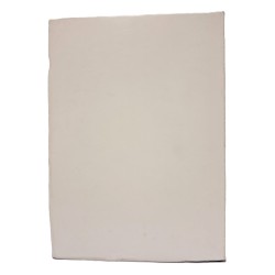 I giornali reggiani dal 1836 al 1915 2