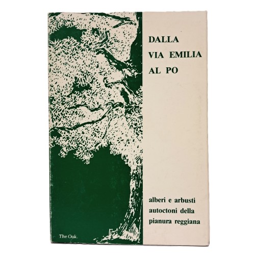 Dalla Via Emilia al Po