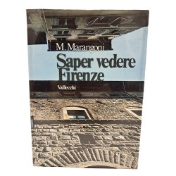 Saper vedere Firenze