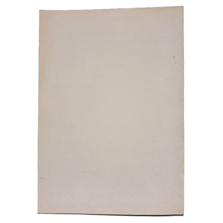 Piobesi nei dodici secoli della sua storia