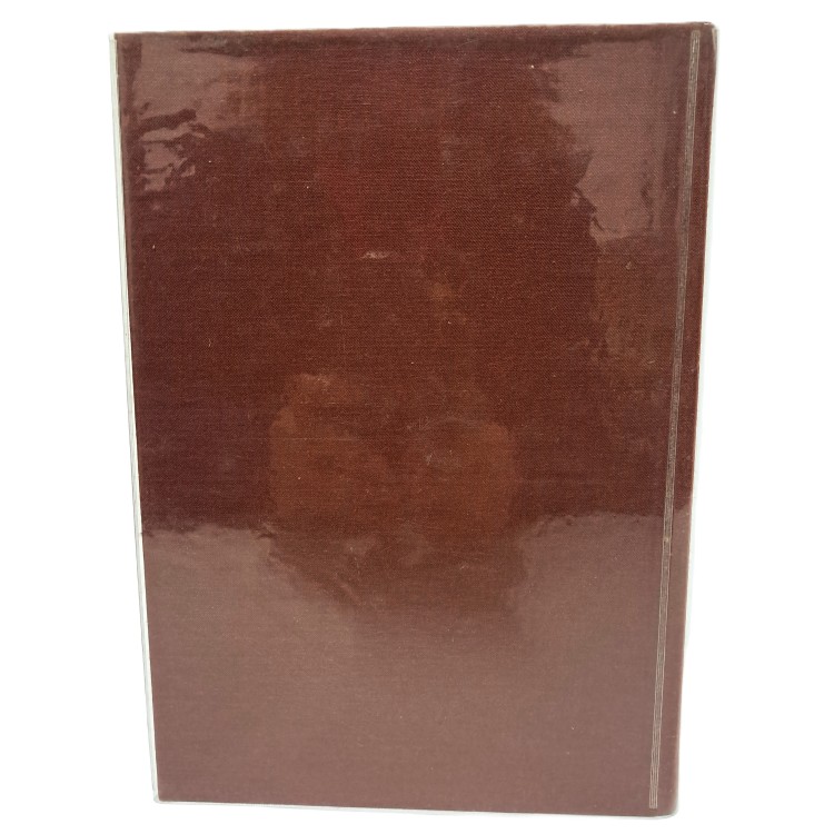 Bologna dialettale. Parole frasi modo etimologie