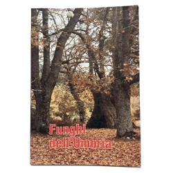 Funghi dell'Umbria