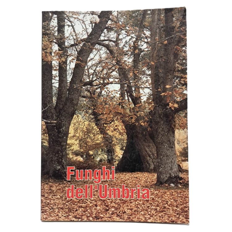 Funghi dell'Umbria