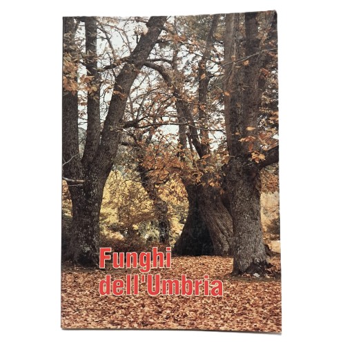 Funghi dell'Umbria