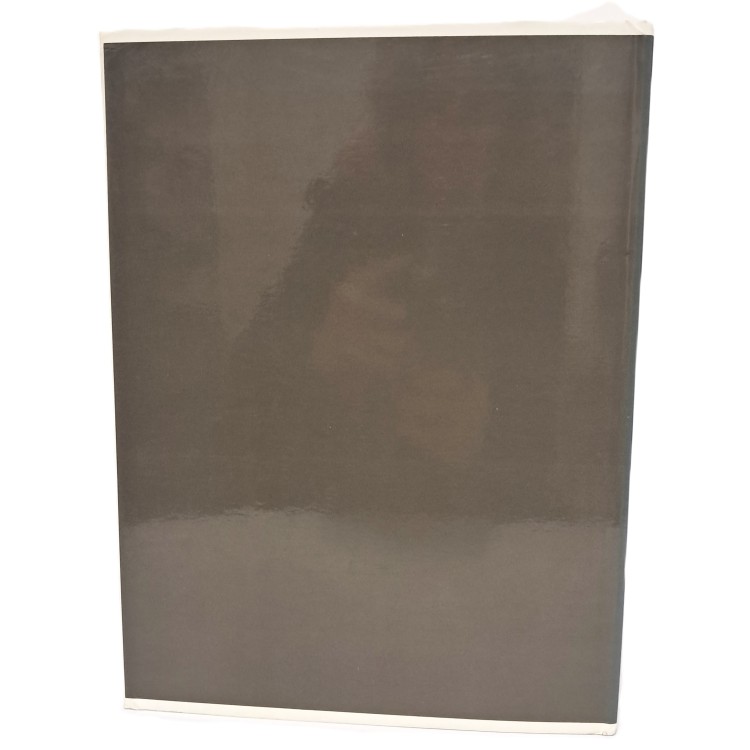 Stele e altre epigrafi di Deir el Medina n.50001 - n.50262