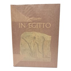 Testimone in Egitto