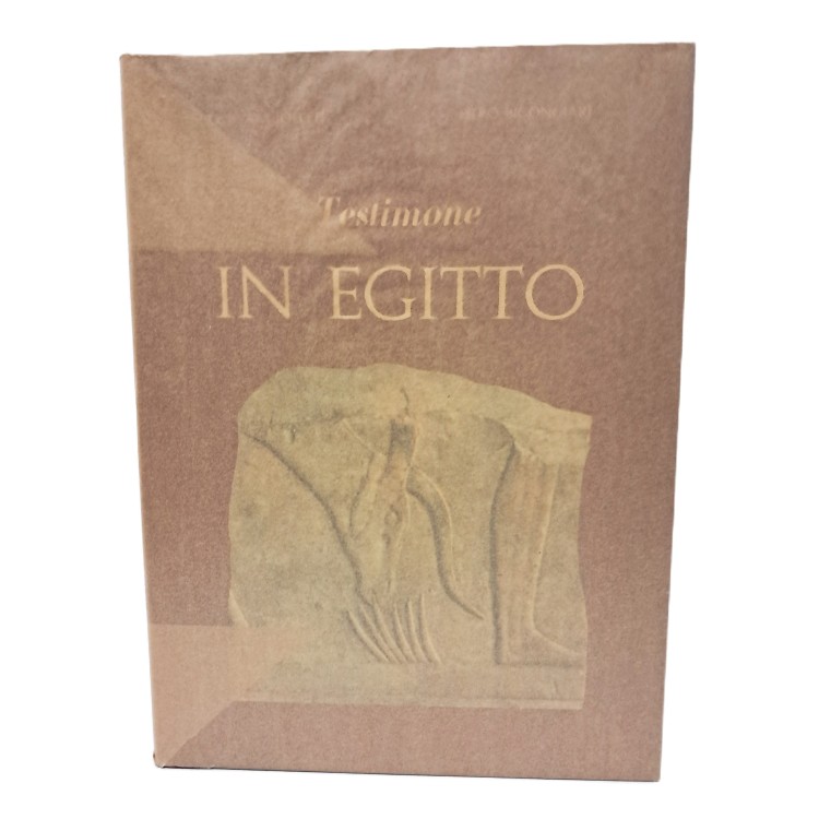 Testimone in Egitto