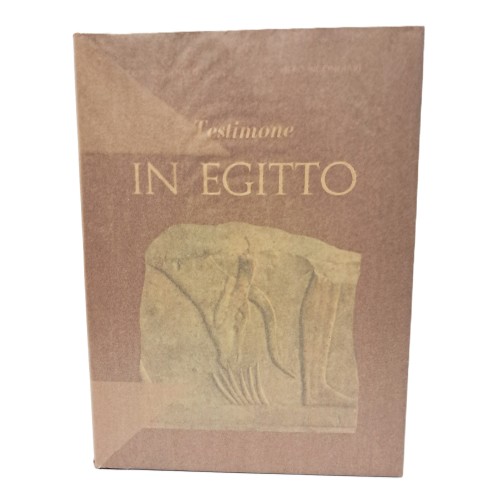 Testimone in Egitto