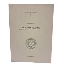 Antichità egiziane del museo Gaetano Chierici di Paletnologia