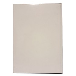 Le stele funerarie della collezione egizia 2