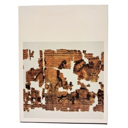 Der papyrus 55001 und seine Satirisch-erotischen Zeichnungen und Inschriften 2