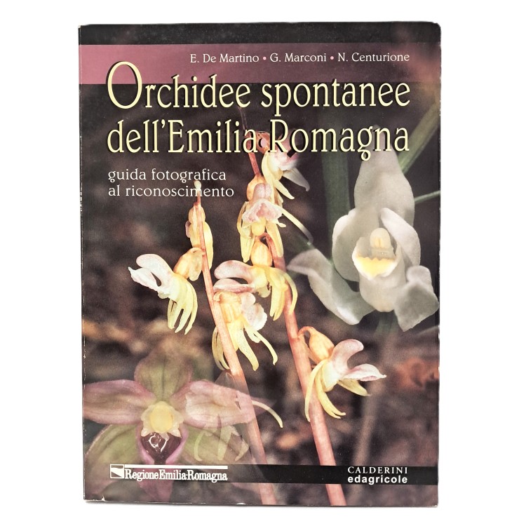 Orchidee spontanee dell'Emilia Romagna guida fotografica al riconoscimento