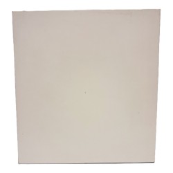 Mostra critica delle opere michelangiolesche catalogo 2