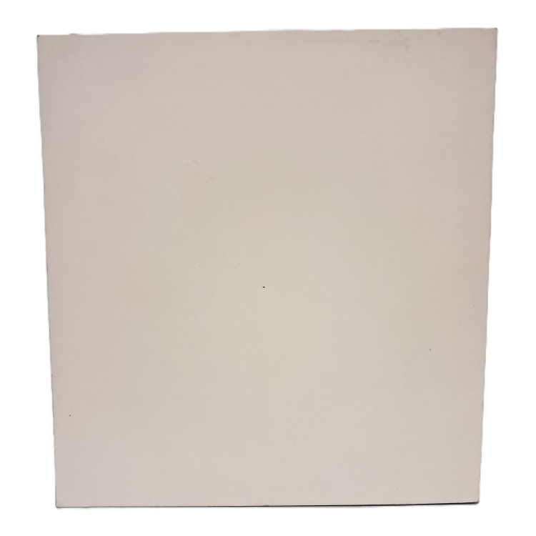 Mostra critica delle opere michelangiolesche catalogo