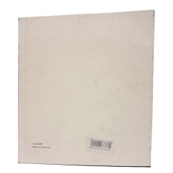 Le terme puteolane e Salerno nei codici miniati di Pietro da Eboli 2