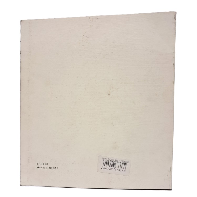 Le terme puteolane e Salerno nei codici miniati di Pietro da Eboli