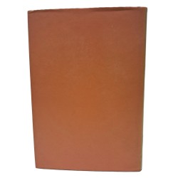 La repubblica bresciana 2