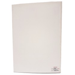 Francisco Goya. L'opera incisa 2