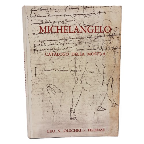 Michelangelo. Catalogo della mostra