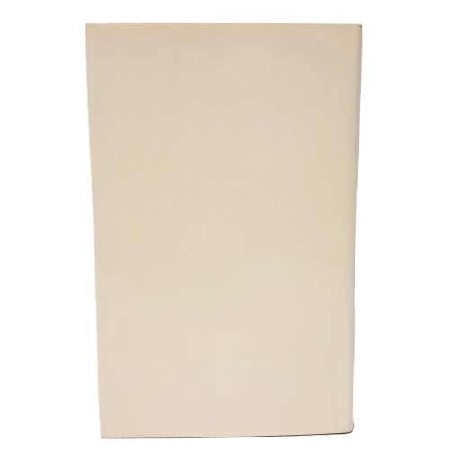 Pionieri dell'industria italiana