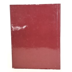 Delitiae Italiae. I viaggi di Mozart in Italia 2