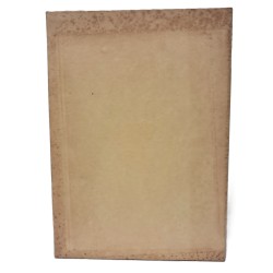 Il Giudizio Universale di Michelangelo 2