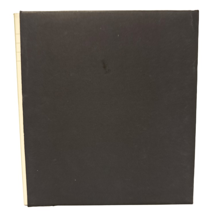 Disegno italiano del Novecento