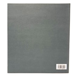 India miniature e dipinti dal XVI al XIX secolo 2