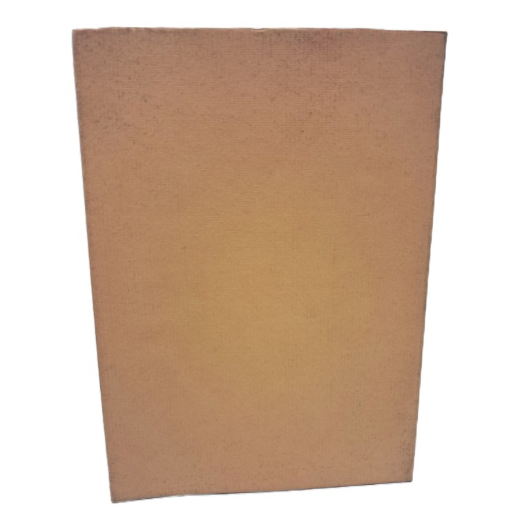 Nei campi del Friuli (la giovinezza di Pasolini)