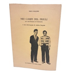Nei campi del Friuli (la giovinezza di Pasolini)