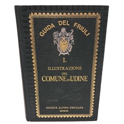 Illustrazione del Comune di Udine