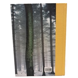 Capire una fotografia 2