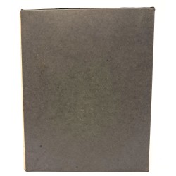 I disegni del Codice Resta 2