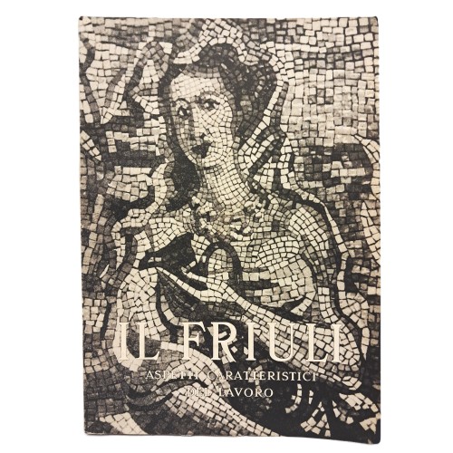 Il Friuli aspetti caratteristici del lavoro