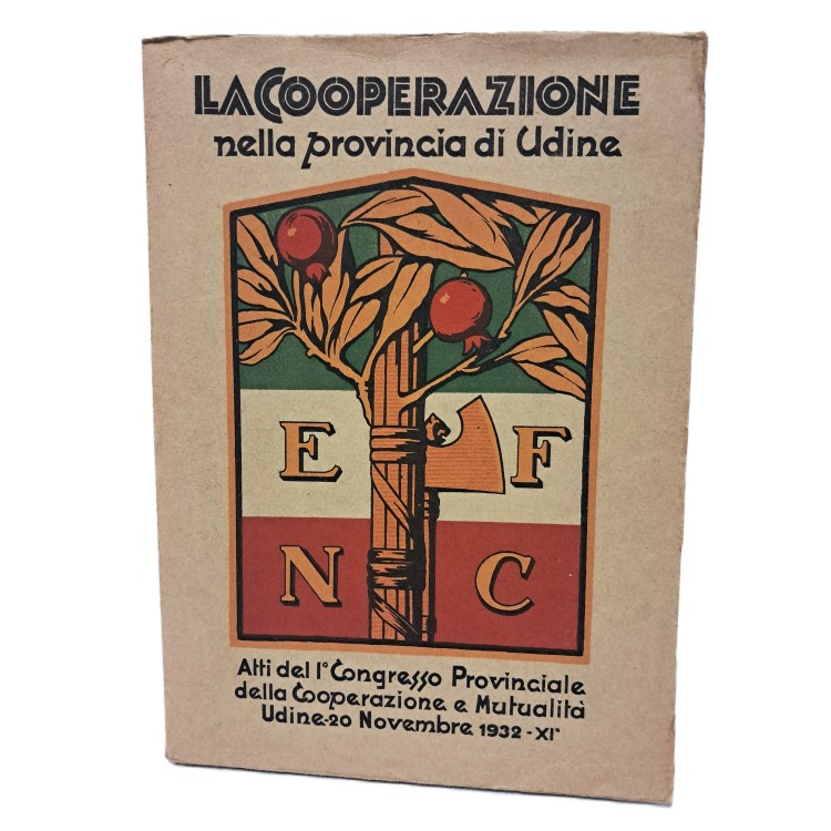 La cooperazione nella provincia di Udine