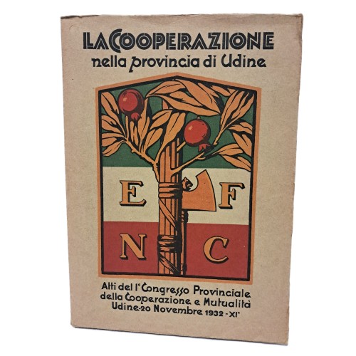 La cooperazione nella provincia di Udine