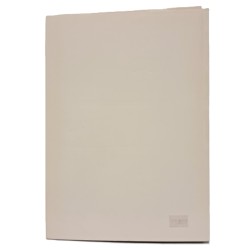 Friulani in Russia e in Siberia 1914-1919 2