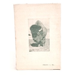 Troppo grano sotto la neve 2