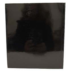 Codici e incunaboli miniati della Biblioteca Civica di Bergamo 2