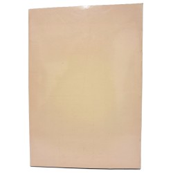 La Biennale arti visive '80 2