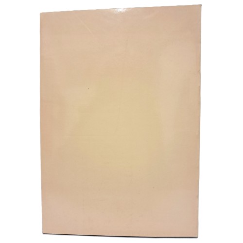 La Biennale arti visive '80