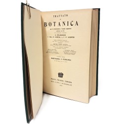 Trattato di botanica I-II