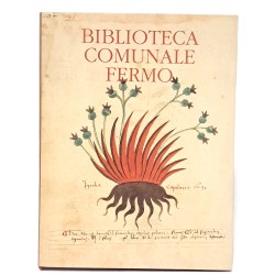 Biblioteca comunale di Fermo